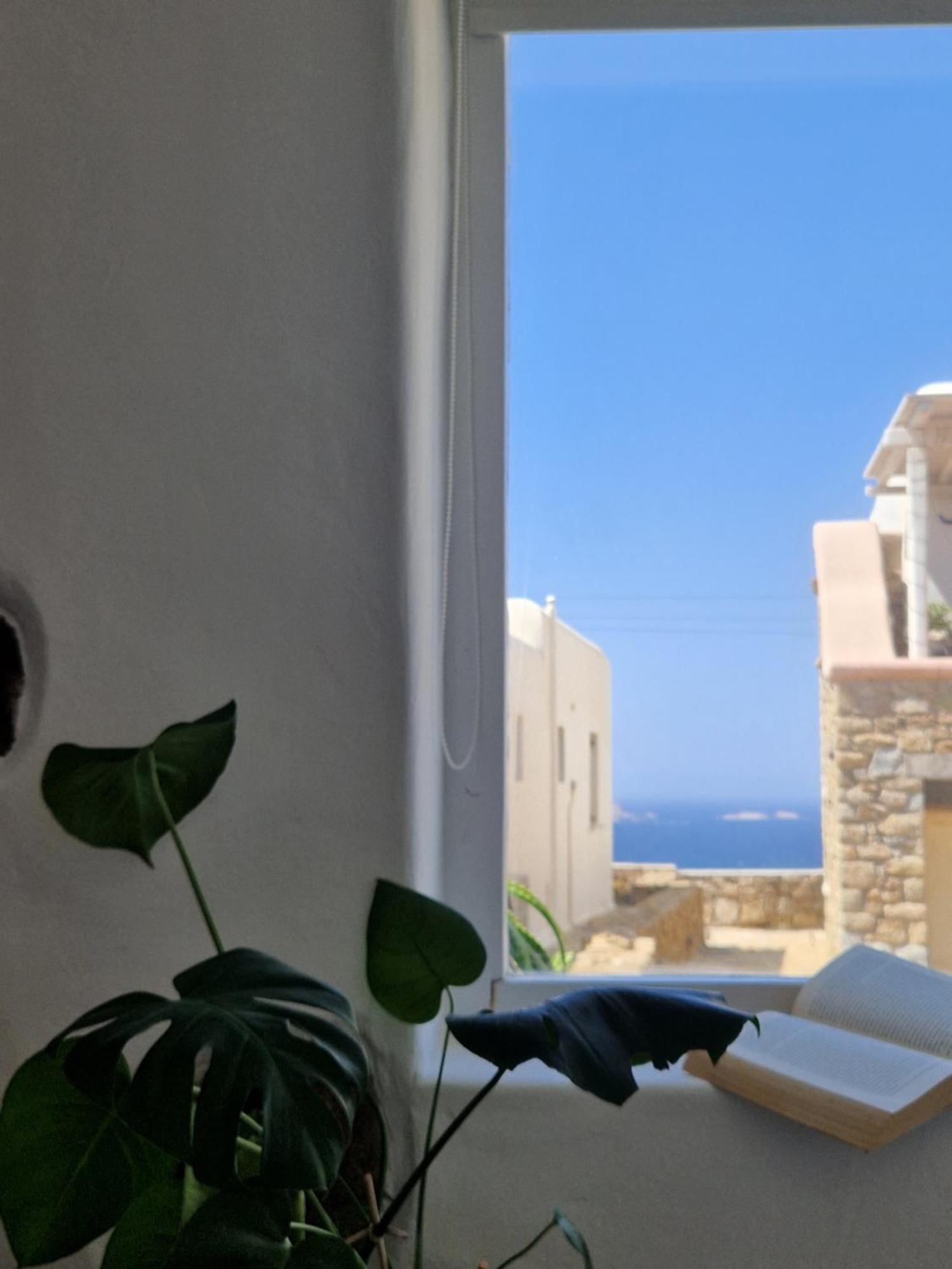 Levantes House Mykonos アノ・メラ エクステリア 写真