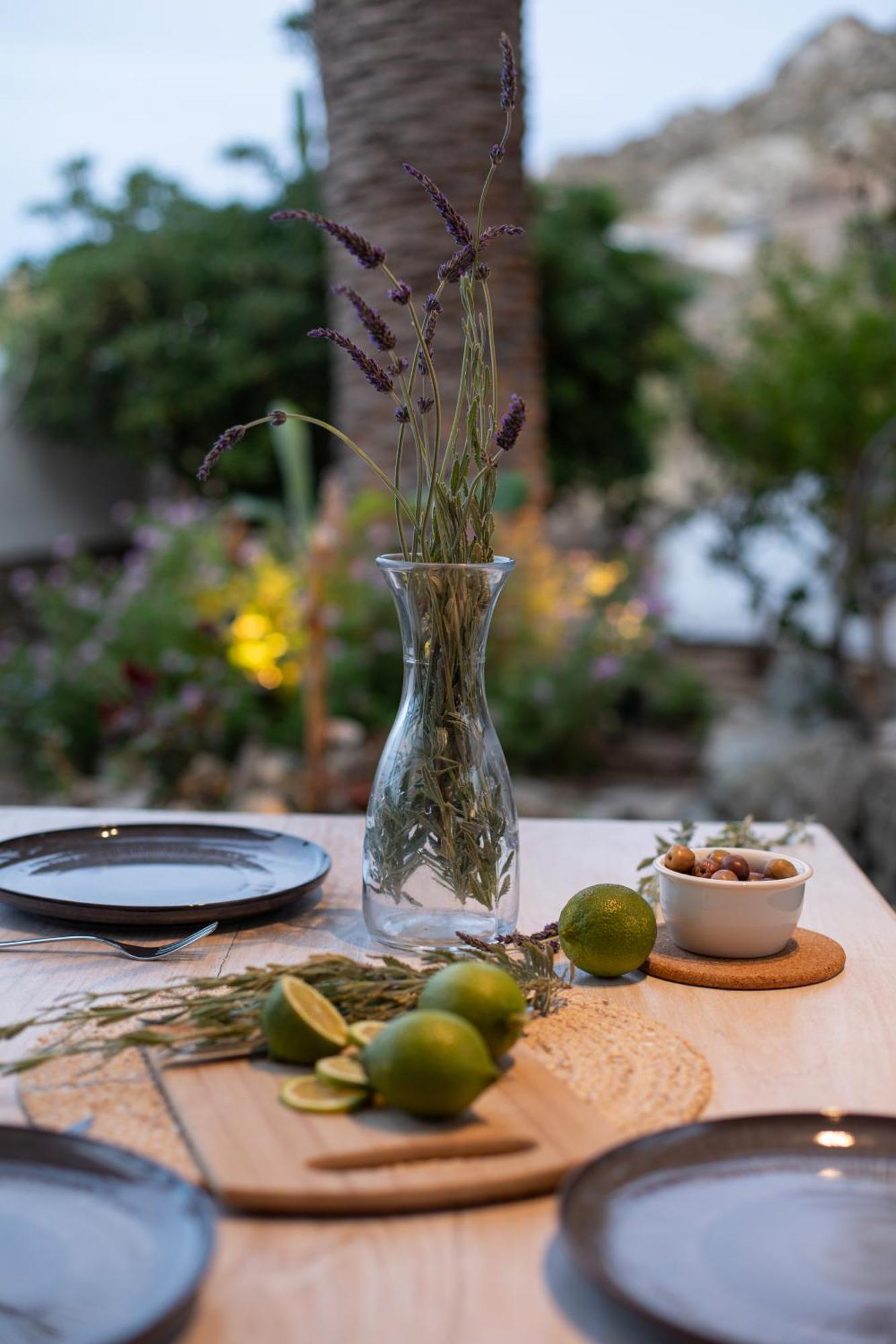 Levantes House Mykonos アノ・メラ エクステリア 写真